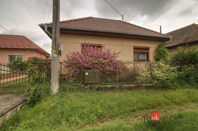 A family house in Ladice with a front garden and a fence, a flowering bush in front of the house.
