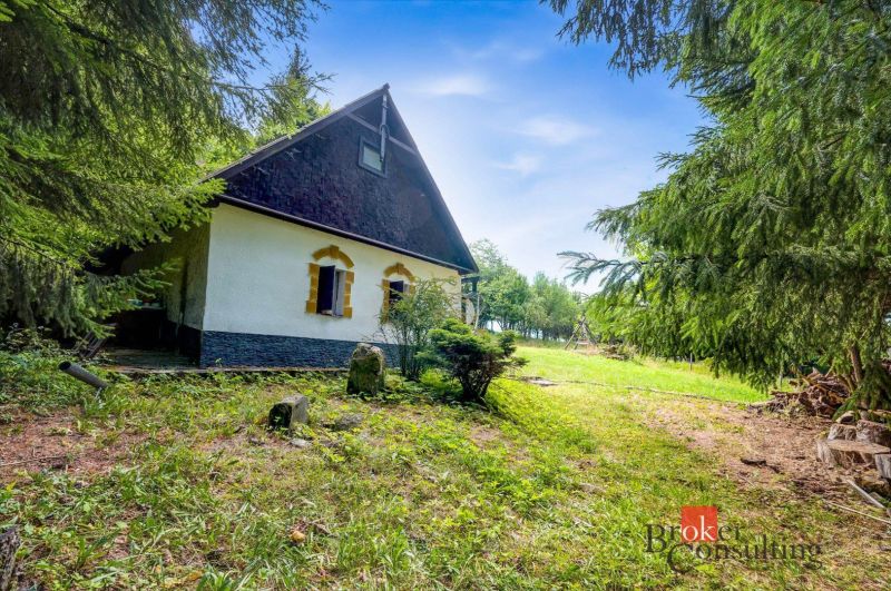 A cottage in Píla surrounded by greenery and coniferous trees, ideal for relaxation.