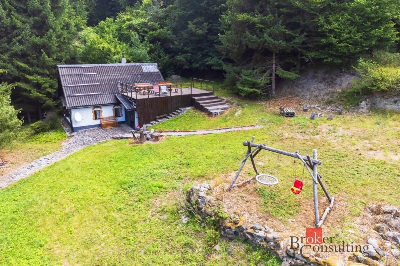 A cottage near the sawmill surrounded by forest with swings on the lawn.