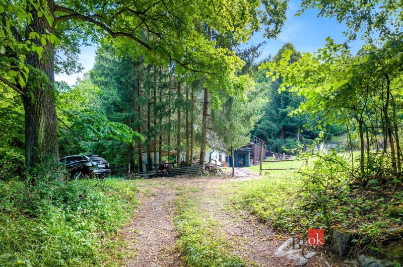 A cottage in Píla surrounded by trees and green landscape, a car parked near the forest.