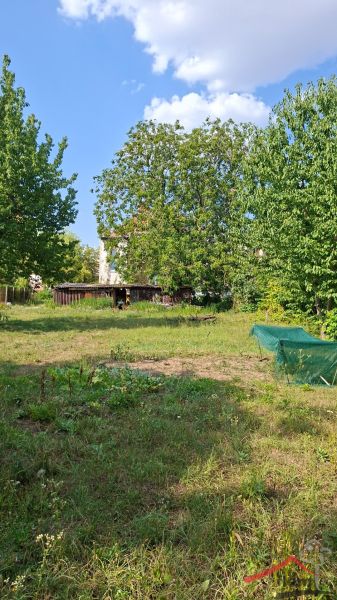 The garden at the family house on Levická Street in Vráble, surrounded by trees and grass.