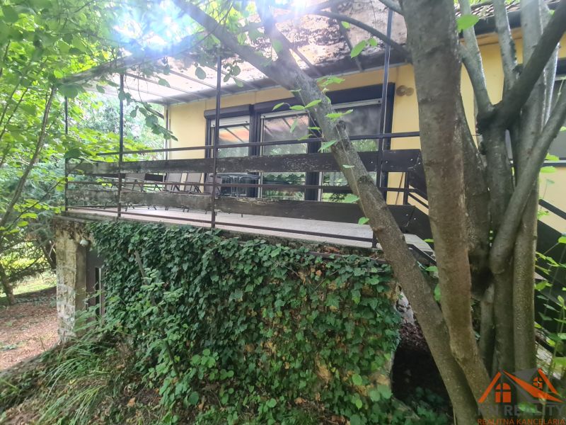 A family house in Svodín surrounded by dense greenery with a terrace covered in climbing plants.