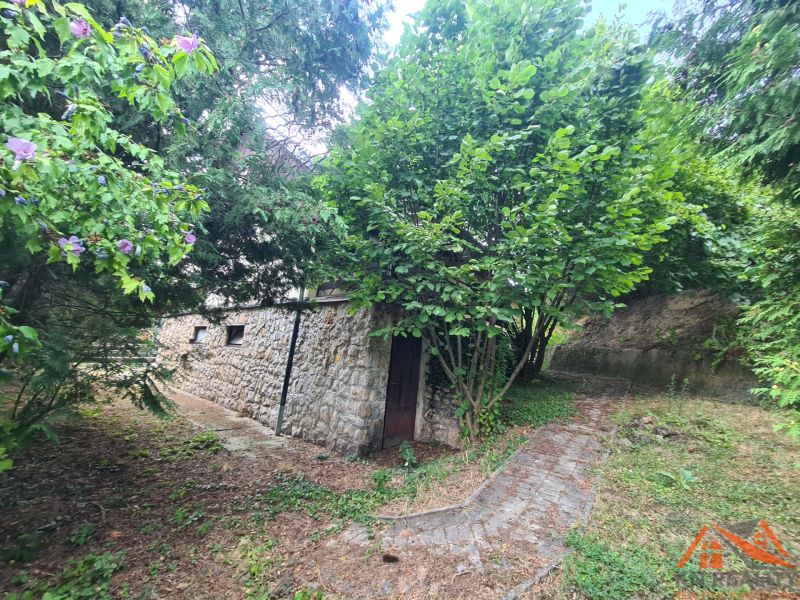 A family house in Svodín with a rock wall, a stone fence, and green trees in the garden.