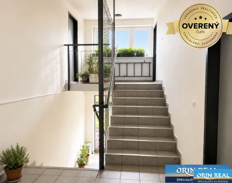 A hallway with stairs, flowers, and a large window in a studio apartment.
