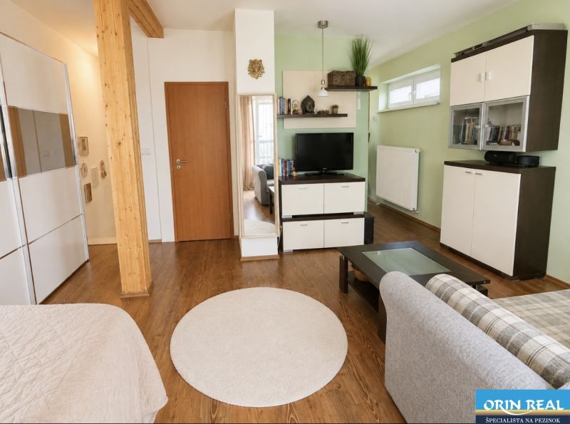 Living room in a studio apartment with wood-patterned flooring, TV, and sofa.