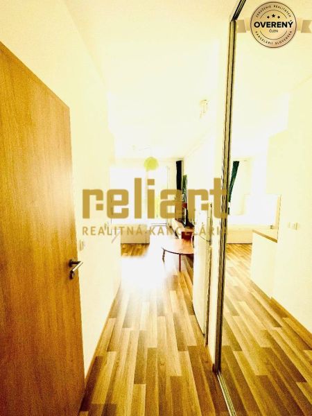 Entrance hallway in a one-bedroom apartment with wood-patterned flooring and a mirrored wardrobe.