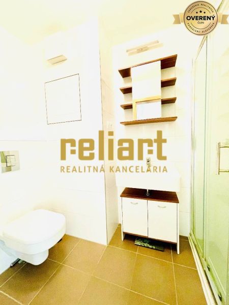 A bathroom in a studio apartment with a wooden decor floor, a shower corner, and a wall-mounted toilet.