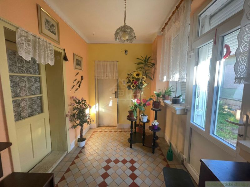 The interior of a family house with tiles, potted plants, and lace curtains.