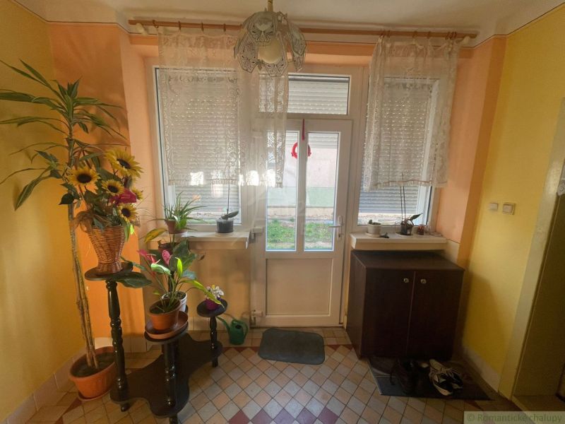 Interior of a family house with entrance doors, plants, and decorations.