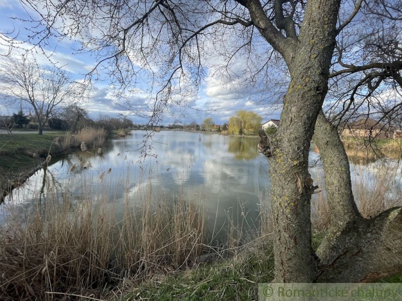A lake surrounded by trees and reeds in an environment near family houses in Tvrdošovce.