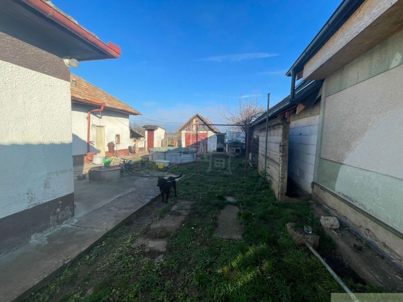 The yard of a family house in Tvrdošovce with a lawn, a dog, and farm buildings.