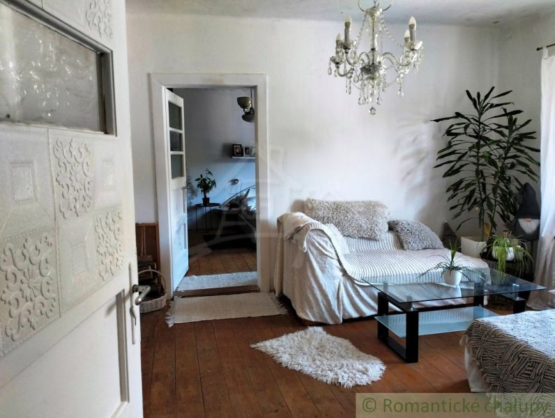 Living room in a family house with a sofa and a chandelier, floor with wood decor.