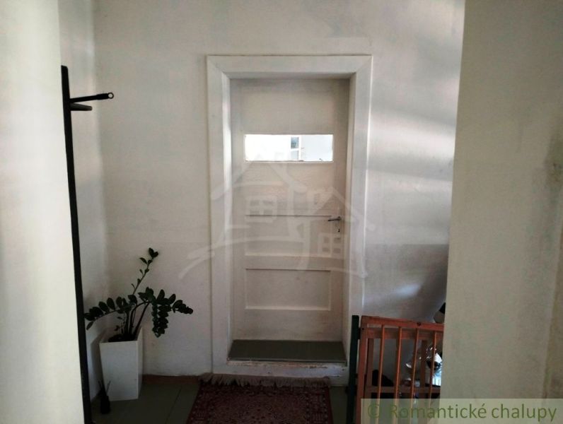 White doors with windows, a flower in a pot, a carpet on the floor in a family house.