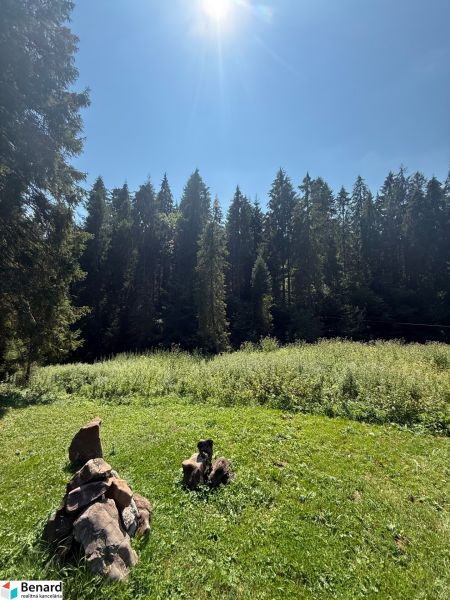 Sunlit recreational plots in Litmanová surrounded by forest and greenery.