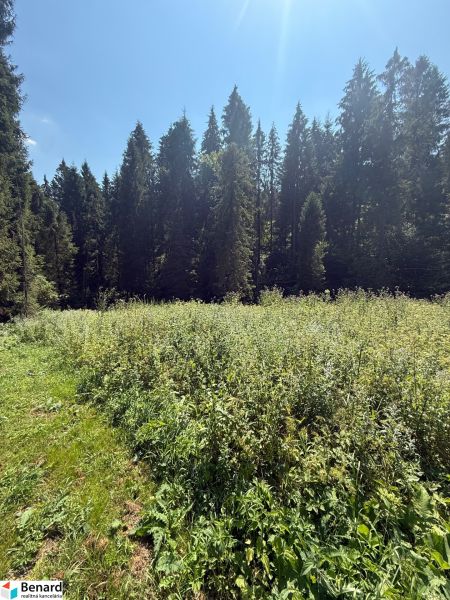 Recreational plots in Litmanová surrounded by green meadows and dense forests.