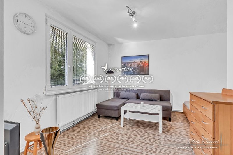 Living area of a studio apartment with a wood-patterned floor and a sofa.