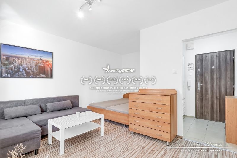 Living room of a one-bedroom apartment with a wood-patterned floor, a sofa, and a bed.