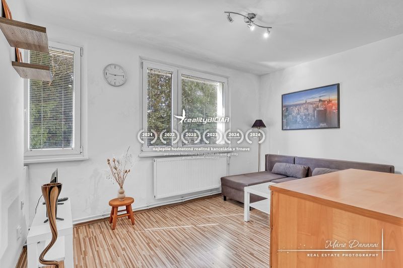 Living room in a studio apartment with wood-patterned flooring, a table, and a couch.