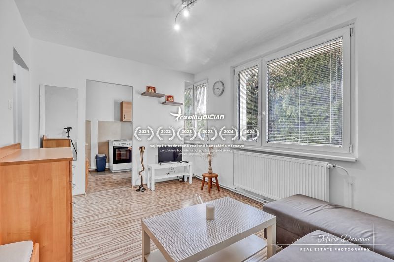 Living room with wood-patterned flooring and furniture in a studio apartment.