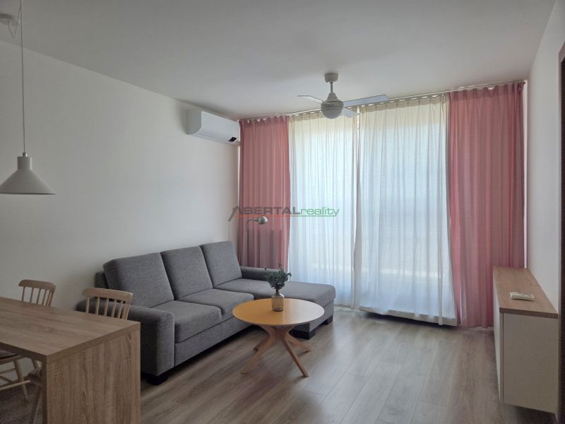 Living room in a two-room apartment with a sofa and a wooden decor floor.
