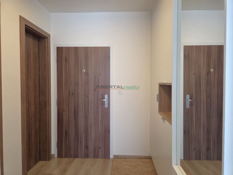 The entrance hall in a 2-room apartment with doors and flooring featuring a wood design.