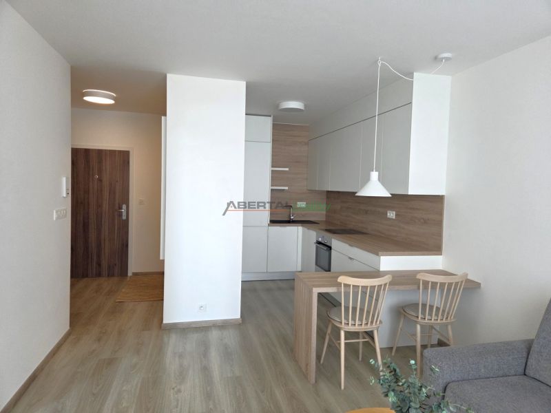 2-room apartment with a kitchen, wooden decor flooring, and light furniture.