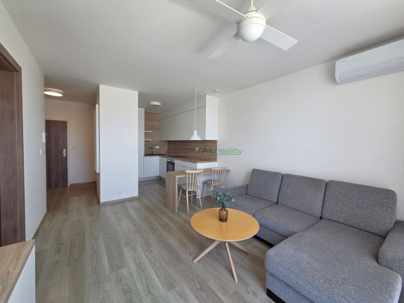 Living room with a kitchenette, gray sofa, and wooden decor flooring in a 2-room apartment.