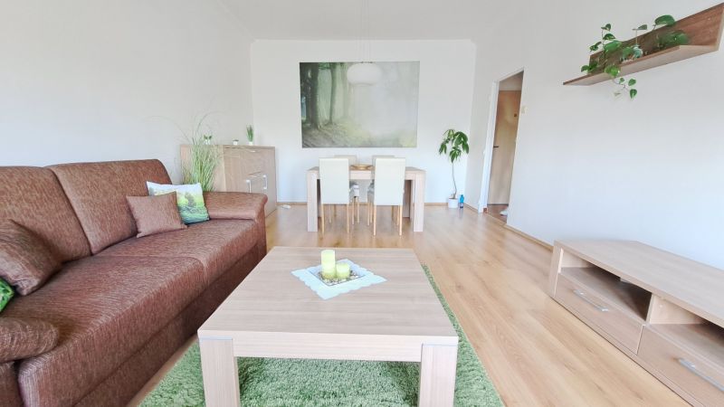 Living room in a 2-room apartment with a brown sofa and a wooden-patterned floor.