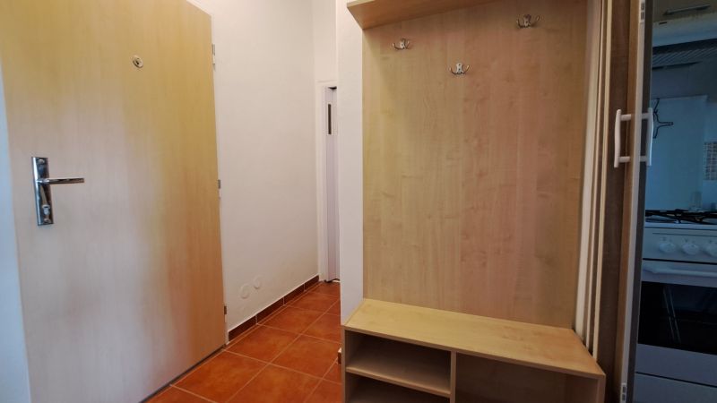 An entrance hall with a shoe cabinet and a coat rack in a 2-room apartment, flooring with a wooden decor.