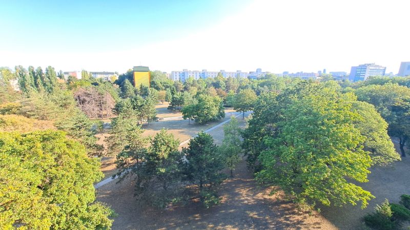 Greenery and trees in the park in Bratislava - Ružinov near Sputnikova Street.
