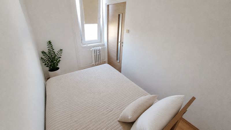 A bedroom in a 2-room apartment with a bed, a plant, and a window.