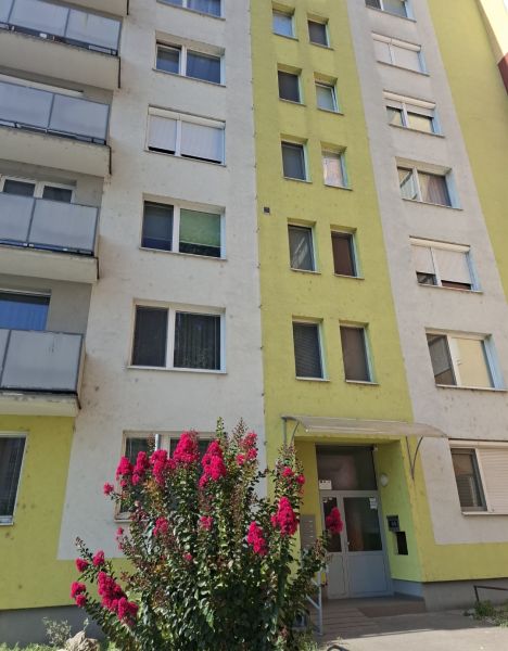 Apartment building on SNP in Nové Zámky with blooming shrubs in front of the entrance.