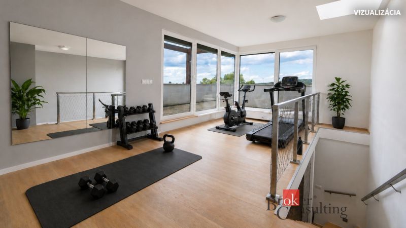 A gym in a family house with a wooden decor floor and a view outside.