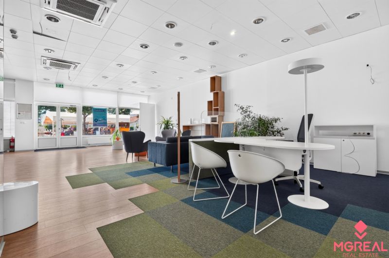 Commercial spaces with wood-patterned flooring, modern furniture, and plants.