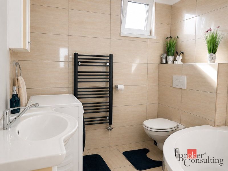 A bathroom in a family house with a sink, washing machine, shower, and plants on a shelf.