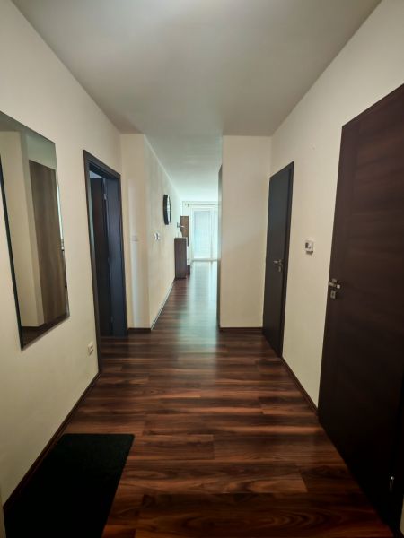 A hallway with a wooden decor floor in a 2-room apartment with a mirror and doors.