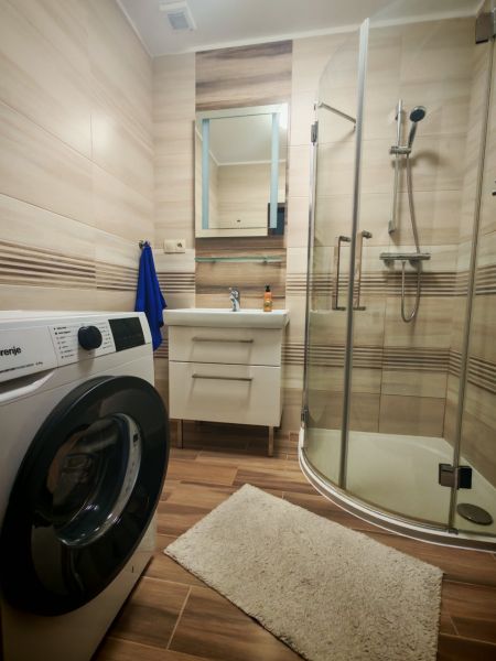 Bathroom in a 2-room apartment with wood-patterned flooring, a washing machine, and a shower corner.