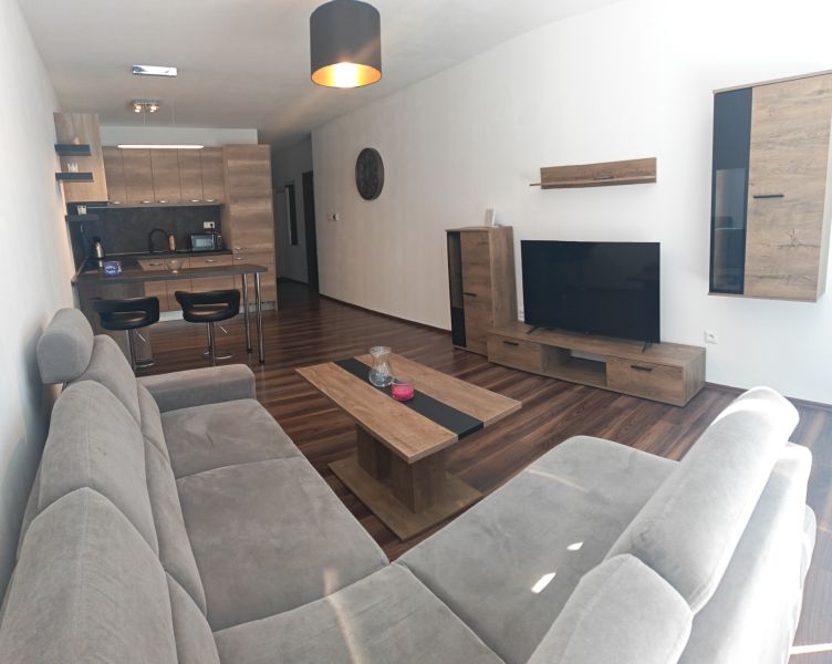 Living room in a 2-room apartment with a wooden-decor floor, a sofa, and a TV wall.