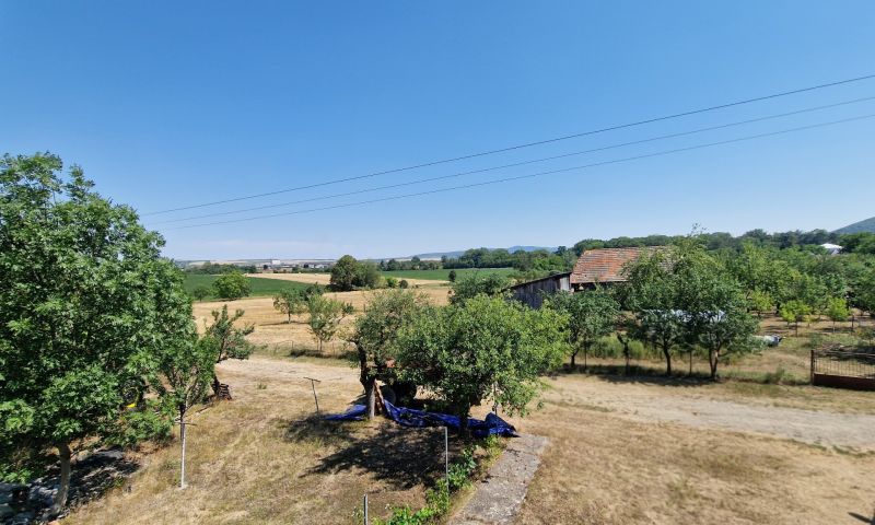 The landscape around the family house on Biela Street in Kazimír with fruit trees.