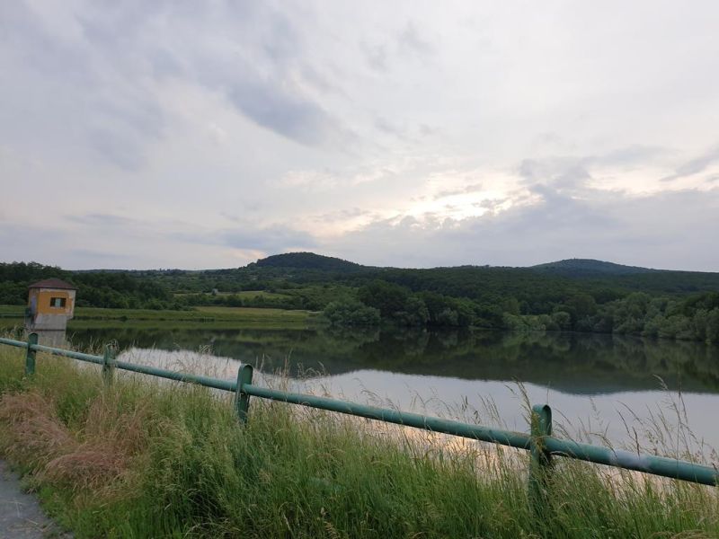 A lake surrounded by greenery and forests, reflecting nature in a quiet and picturesque setting.