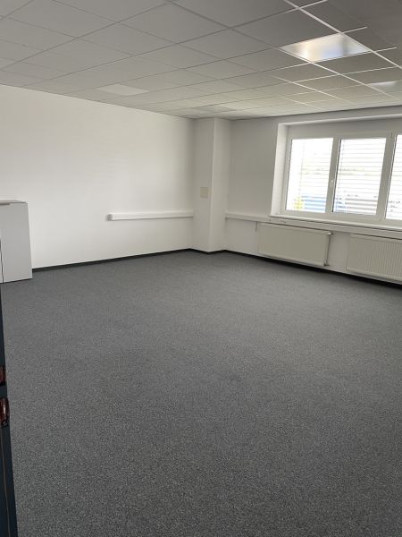 Offices with carpet, white walls, and windows with blinds.