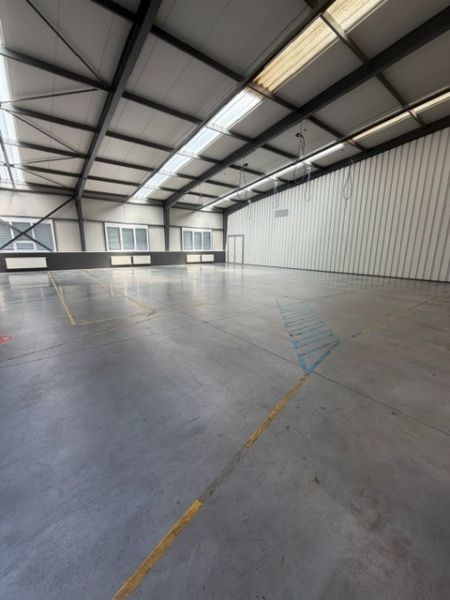 Warehouses and halls with high ceilings and large windows, suitable for various purposes.