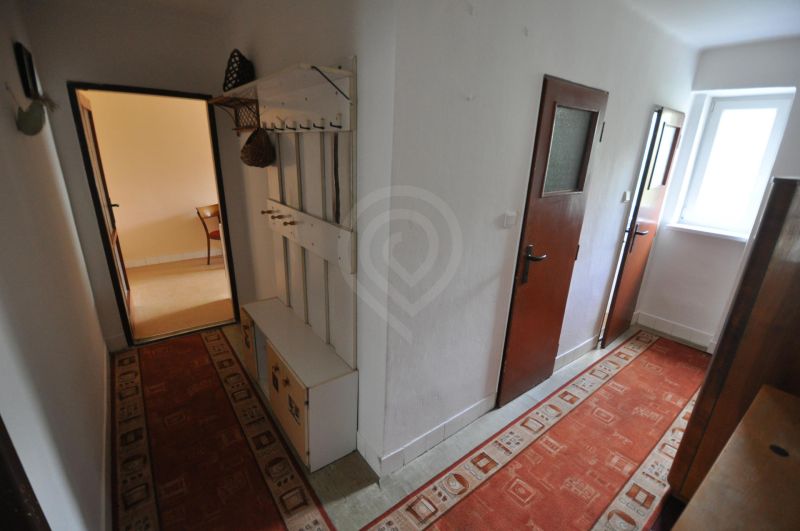 A narrow hallway in a 2-room apartment, with a red carpet and a coat rack on the wall.