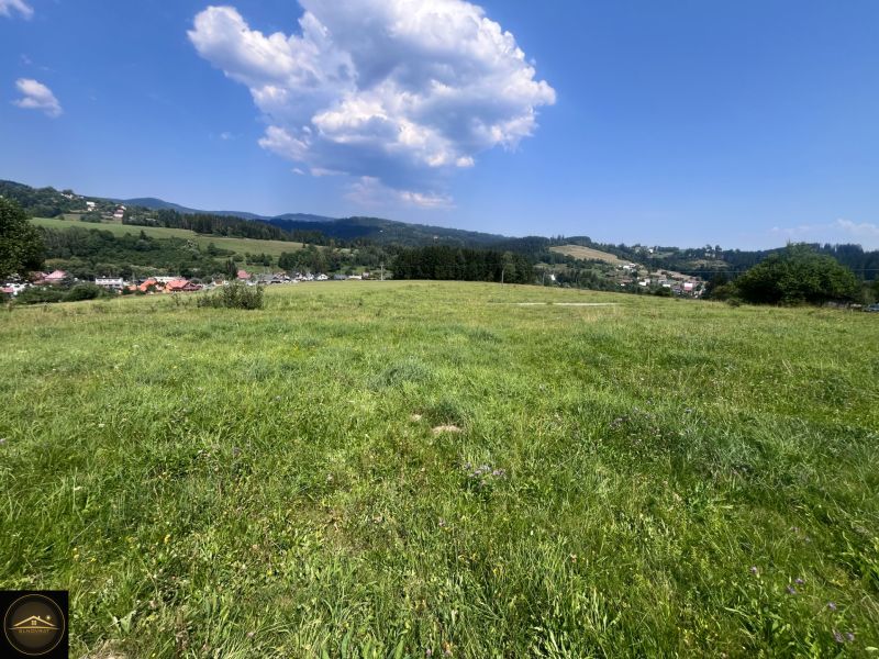 Green meadows in Olešná suitable for residential plots, surrounded by nature and hills.