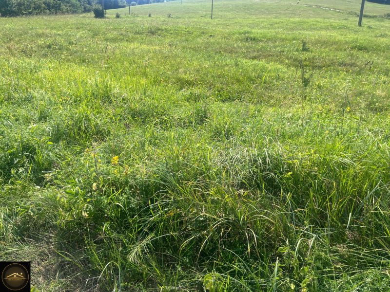 Meadow plots for living in Olešná with views of the surrounding hills and nature.