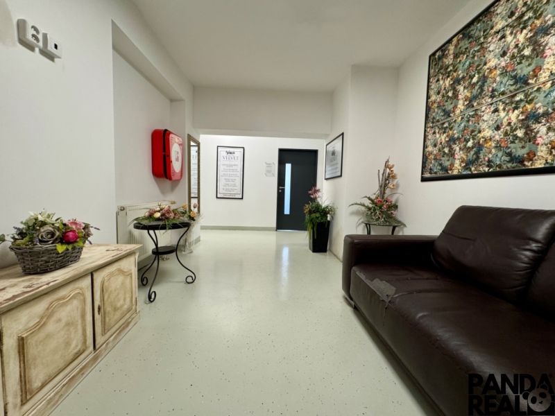 Reception in commercial premises with a dark sofa and floral decorations.