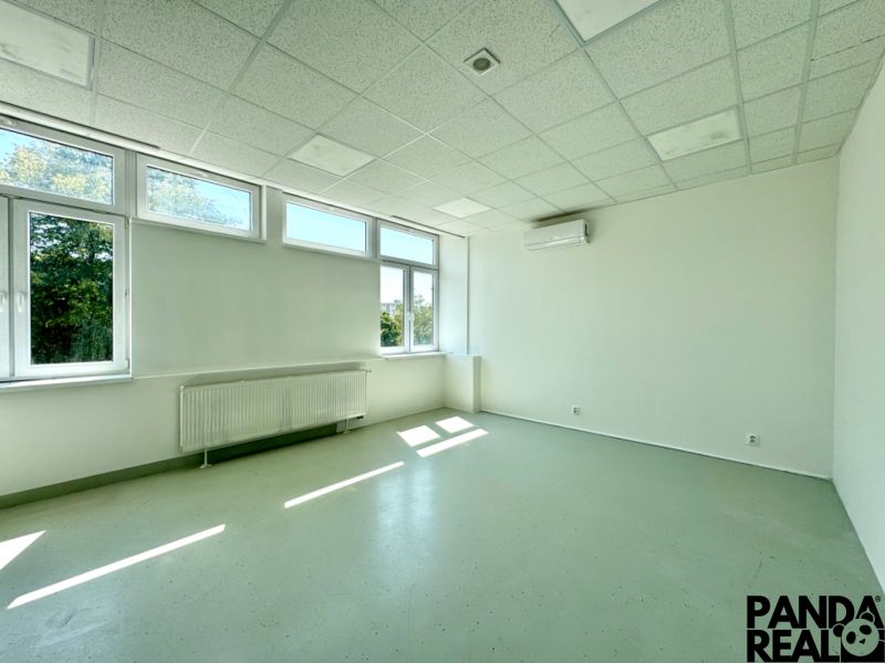 Bright commercial spaces with large windows and air conditioning.