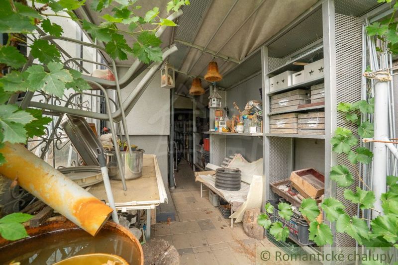 A garden at the cottage in Senec with numerous storage boxes and vine leaves.