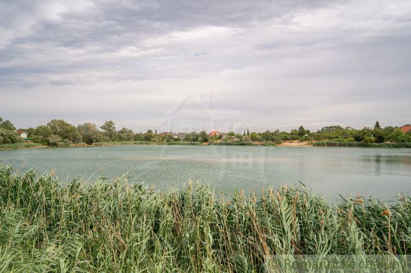 The green lake with greenery and sky in Senec creates a peaceful atmosphere by the cottage.