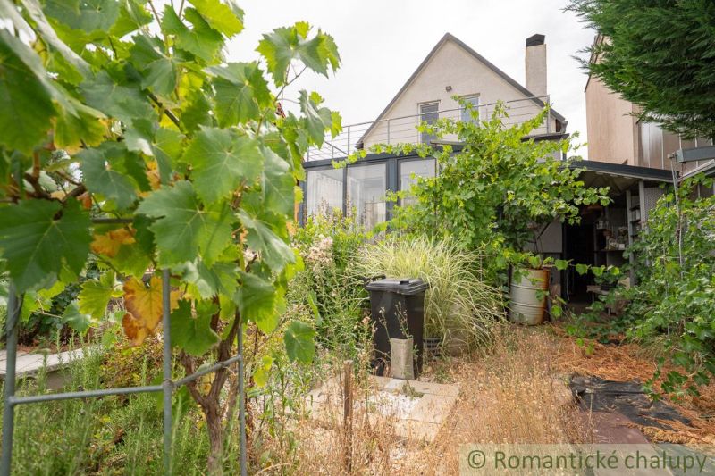 A garden with a vineyard near a cottage in Senec, the surroundings and plants provide privacy.